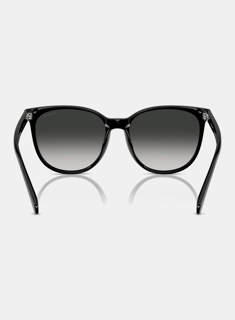 COACH Full Rimmed Round Sunglasses 8414BD 50023C - Image 3